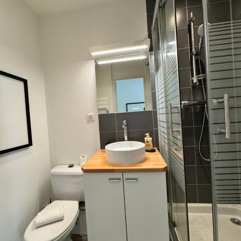 L'Antrain, Rennes centre - Apartamento de 1 dormitorio - 14
