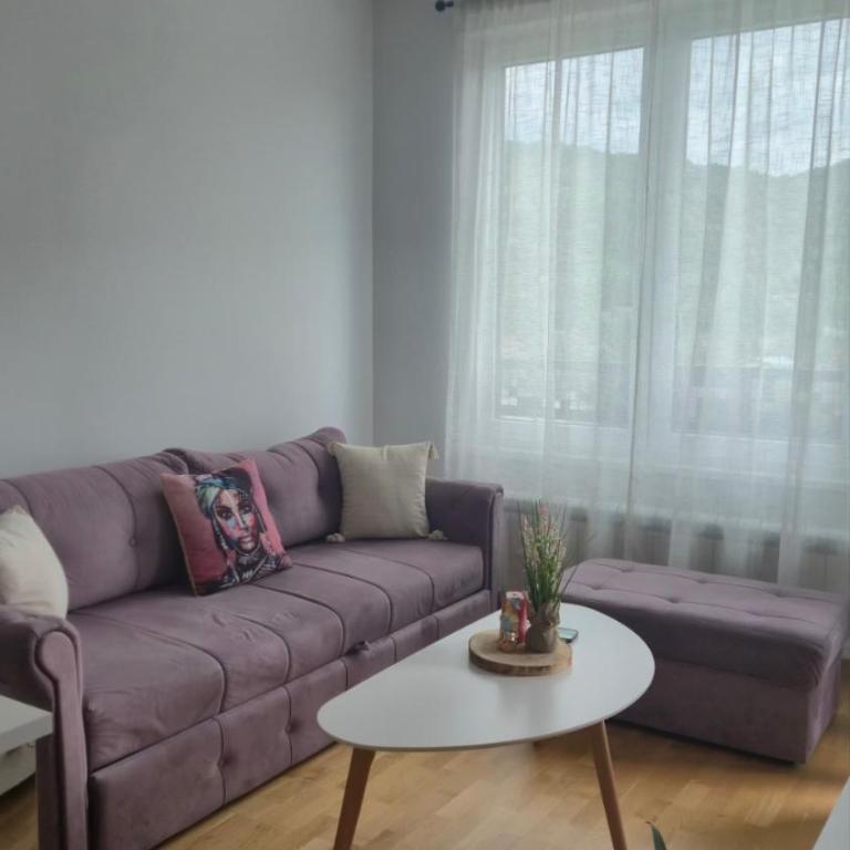 Njegos - Apartman sa 1 Spavaćom Sobom - 7