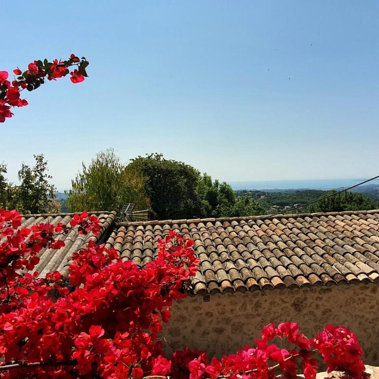 Cottage In Village Provencal Azur - Maison 1 Chambre - 25
