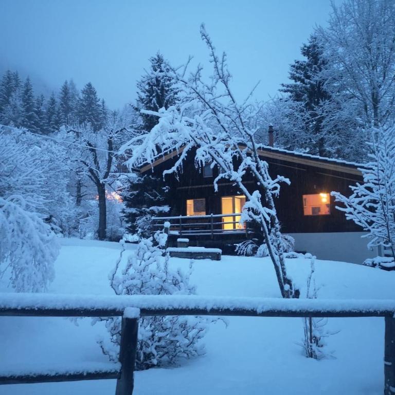 Chalet Rustifol - Chalet mit 1 Schlafzimmer - 1