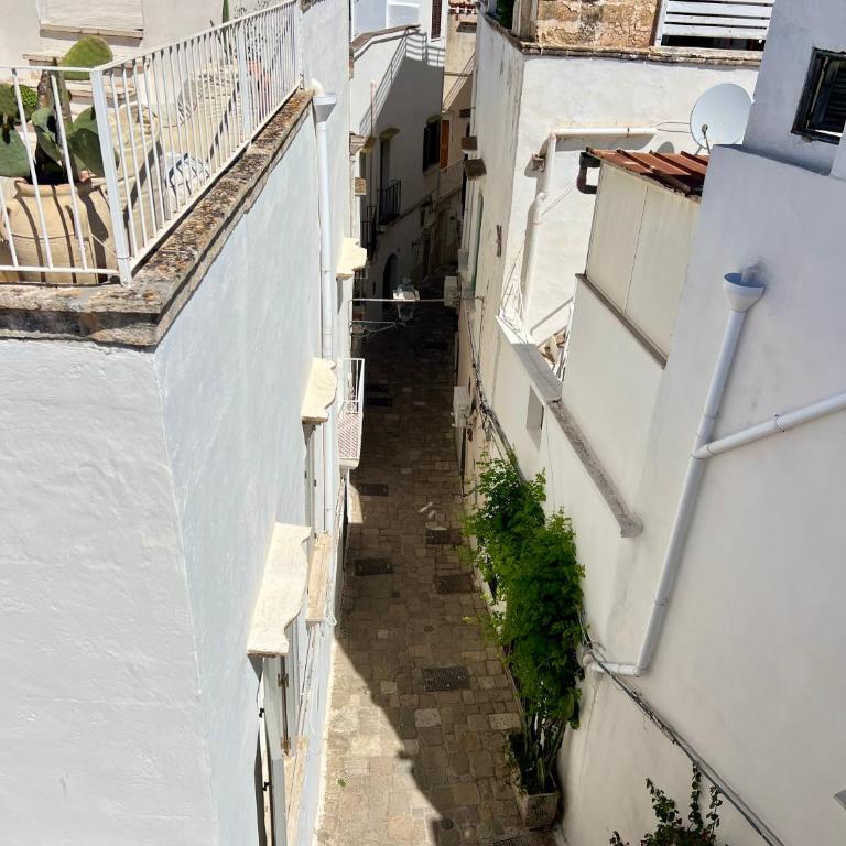 B&B Dimora San Vincenzo - Appartamento con 1 Camera da Letto - Edificio Separato - 2