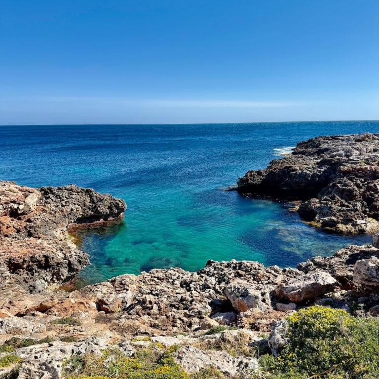 House with private patio in the best area of Menorca - Casa de 2 dormitorios - 17