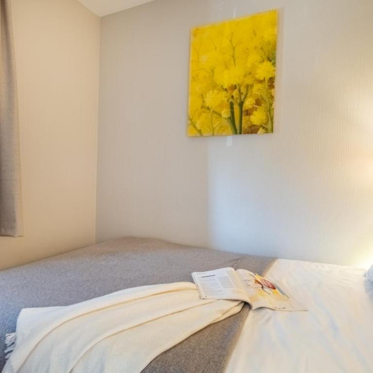 Résidence Pierre & Vacances Les Rives de Cannes Mandelieu - Appartement 1 Chambre Supérieur avec Terrasse ou Balcon (5 Personnes) - 6
