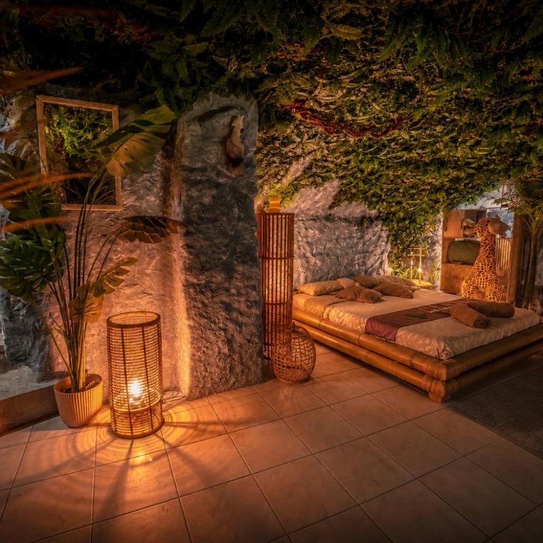 Jungle Caverne- spa privé, logement atypique - Apartment mit 1 Schlafzimmer - 2
