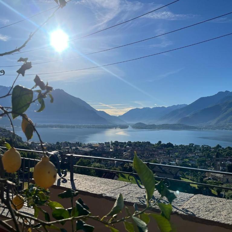 Lake-view terrace - Wines and specialities of Domaso - Appartamento con 1 Camera da Letto - 2