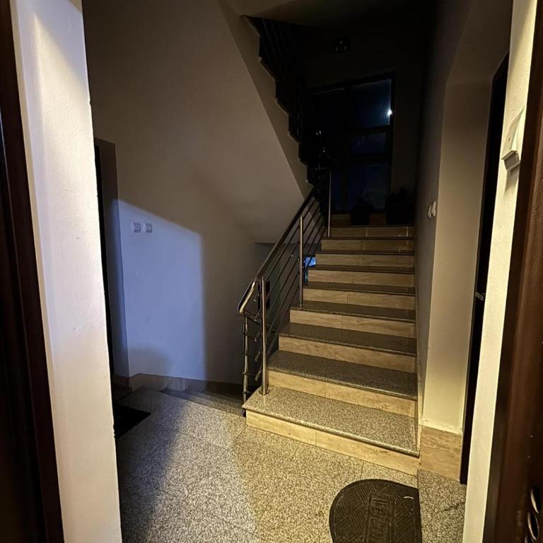 Apart Zabjelo - Apartman sa 1 Spavaćom Sobom - 8