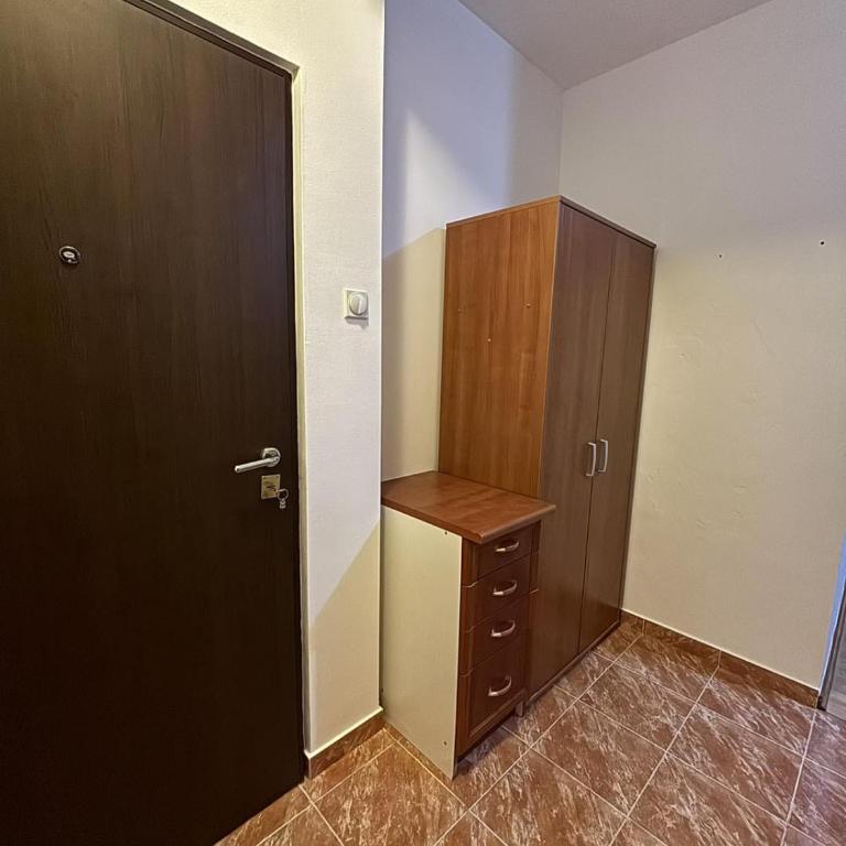 Apart Zabjelo - Apartman sa 1 Spavaćom Sobom - 10