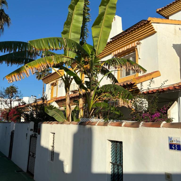 MET Oliva Nova Playa chalet grande con jardín MET a 5 minutos y a 3 de la playa - Casa de 3 dormitorios - 42