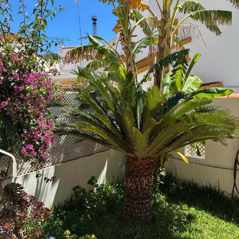 MET Oliva Nova Playa chalet grande con jardín MET a 5 minutos y a 3 de la playa - Casa de 3 dormitorios - 44