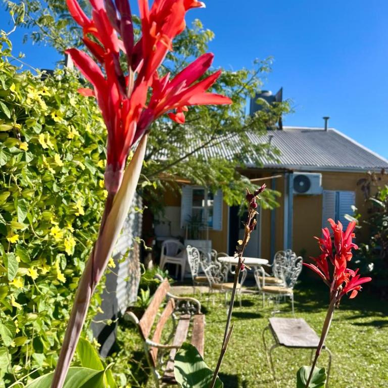Alojamiento Villa Elisa - Two-Bedroom House - 3