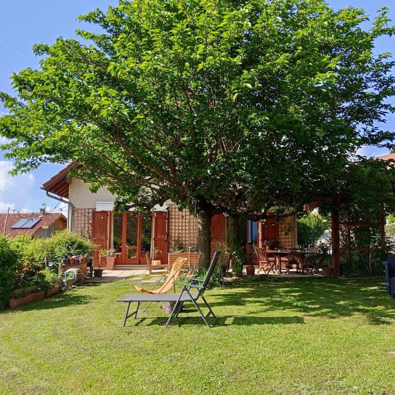 Grande maison entre montagne et campagne - Villa - 12