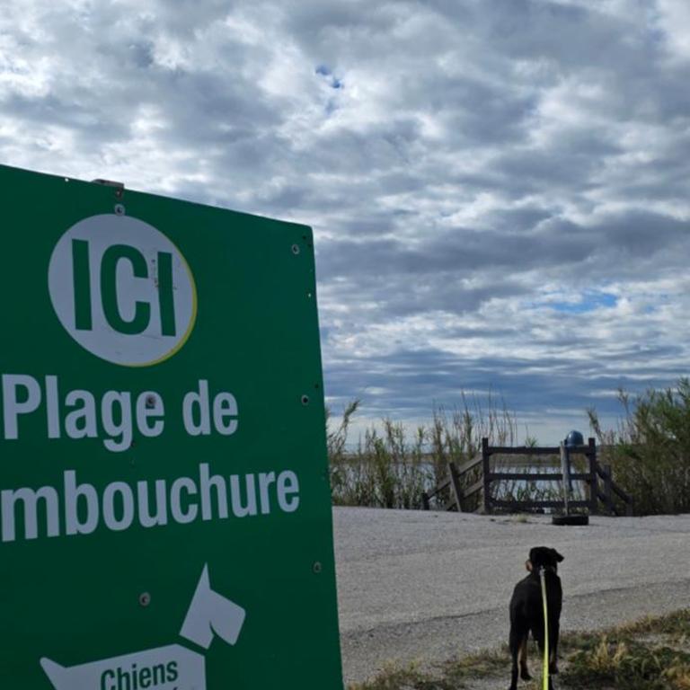 Le Barcarès - gîte "Carlit" climatisé 2 chambres pour 6 personnes, à 10 mns à pied de la plage, avec place de parking - Apartment mit 2 Schlafzimmern - 21