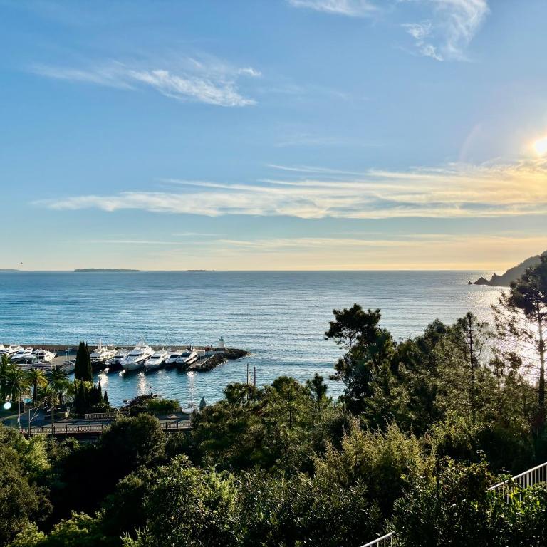 3 pièces avec vue mer exceptionnelle - changement de gestionnaire voir photos pour avis - Appartement 2 Chambres - 16