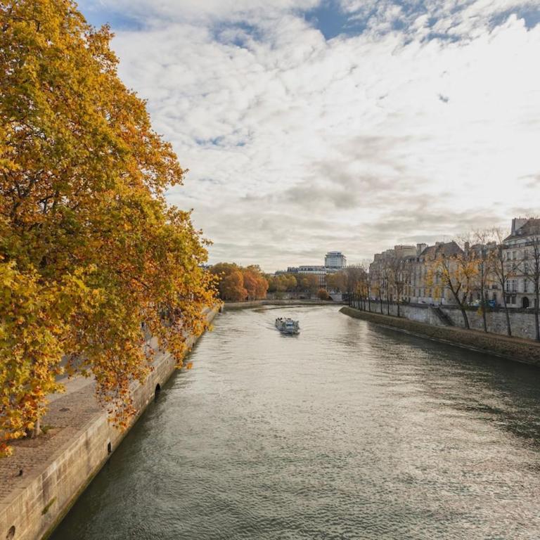 apartment Marais 150 meters from ile Saint louis - Appartement 3 Chambres - 39