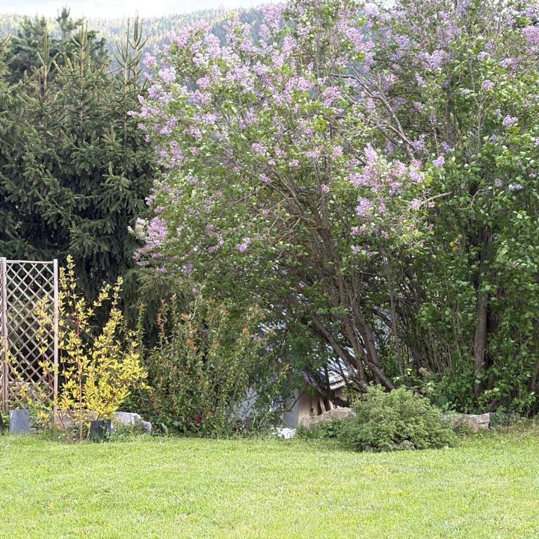 Chez Jeannette - Appartement 3 Chambres - 21