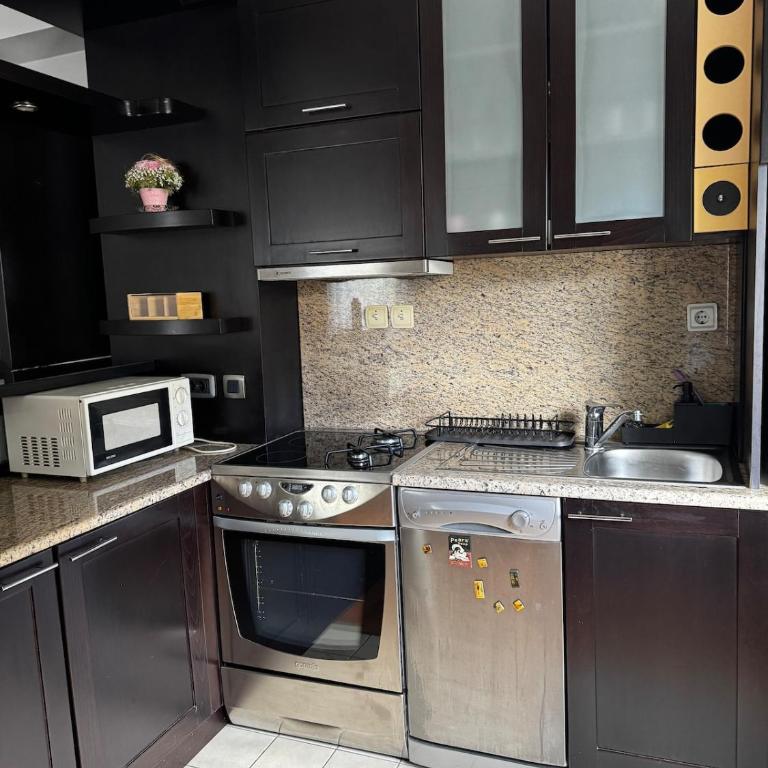 Hellanis Residence - Apartman sa 2 Spavaće Sobe - 5
