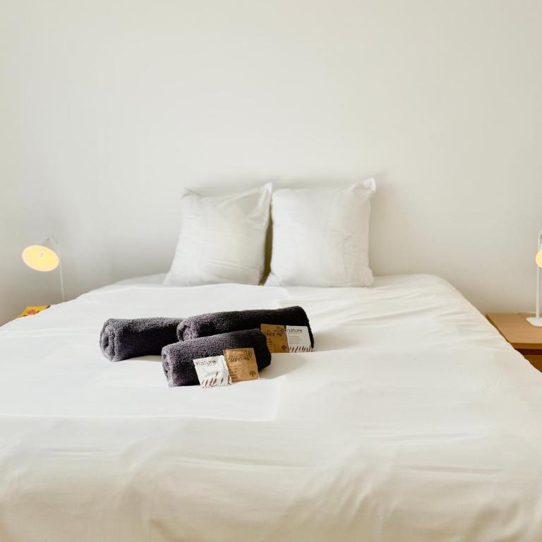 Le Petit Phare, Royan centre-ville - Appartamento con 2 Camere da Letto - 10