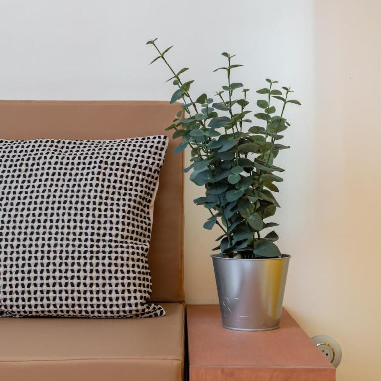 AiX Central loft - 400 m du cours Mirabeau - Appartement 1 Chambre - 2