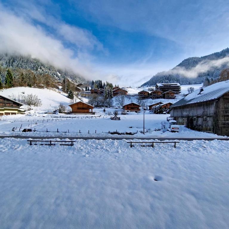 Perce Neige PNC20 NATURE & FAMILY 4 pers - Appartement - 14