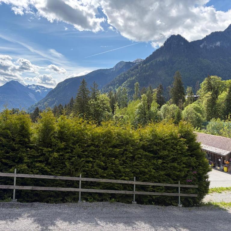 Appartement Bergwild - Two-Bedroom Apartment with Bath - 31