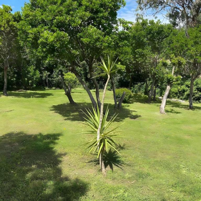 Villa La Chiappa Bord De Mer - Villa con Vista Giardino - 37