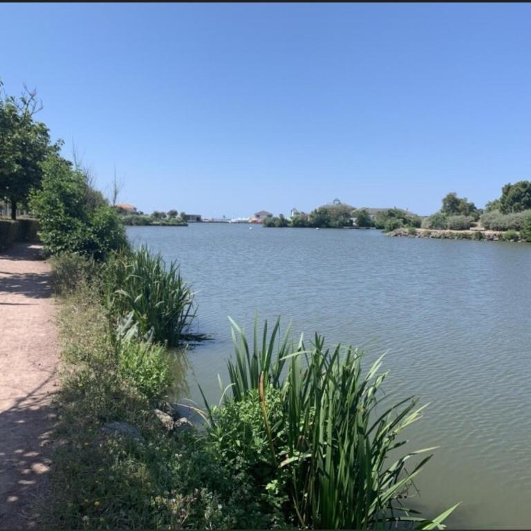 La Goélette Jolie maison de pêcheur à 2 pas de la Grande Plage - Maison de Vacances - 24