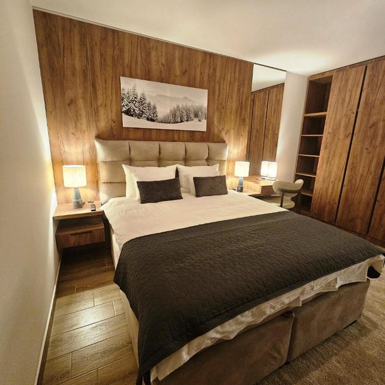 Kopaonik Spa Retreat - Apartment - 8