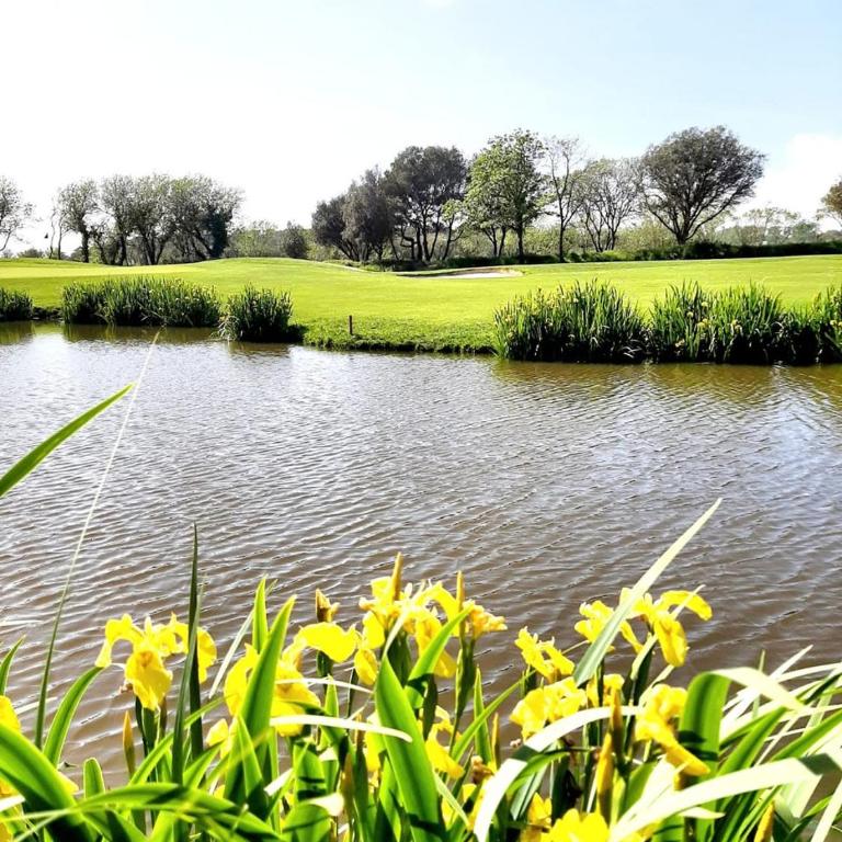 "ENTRE GREENS ET VAGUES" Maison de vacances, cœur d'un golf, résidence privée, accès piscines gratuit - Maison de Vacances - 4