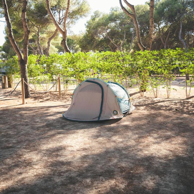 HolaCamp Sitges Garrofer - PARCELA M - 1