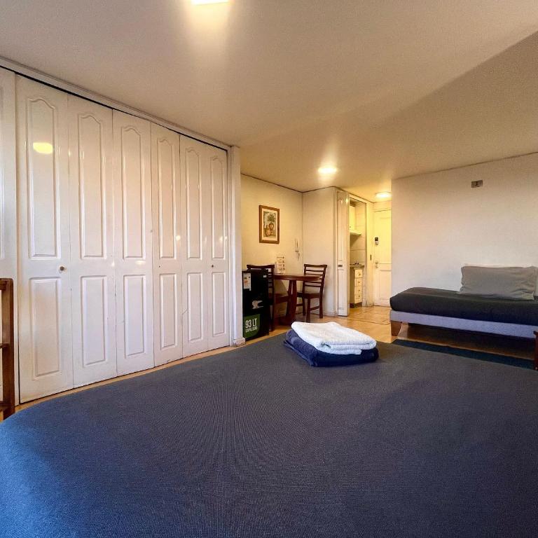 Living Valdivia - Apartamento Superior - 20