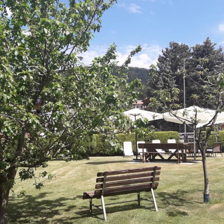 House Cuel Milena Folgaria - Green - Apartamento Deluxe de 2 dormitorios con vistas al jardín - 27