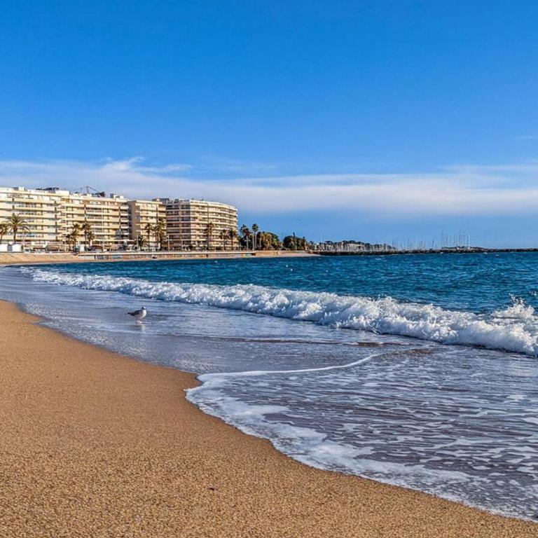 Appartement avec climatisation et parking - 4 pers. - FR-1-226A-121 - Appartamento (6 Adulti) - 20