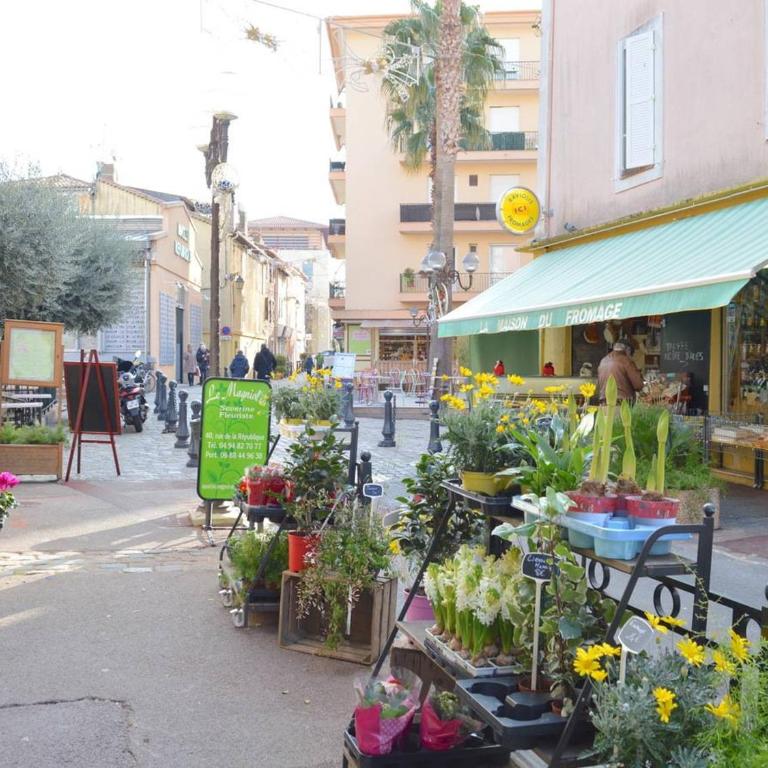 Spacieux T2 avec grande terrasse à Saint-Raphaël, proche mer et gare, garage inclus - FR-1-226A-102 - Appartamento (4 Adulti) - 18