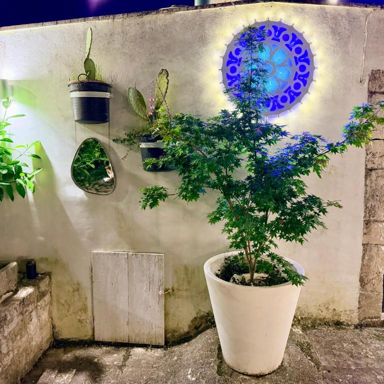 Sto al Trullo - Historic Trullo with Private Jacuzzi and Sauna - Villa con 3 Camere da Letto - 9