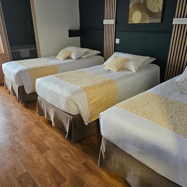 Hôtel Côté Sud Léman - Chambre Triple (1 Lit Double et 1 Lit Simple) - 1