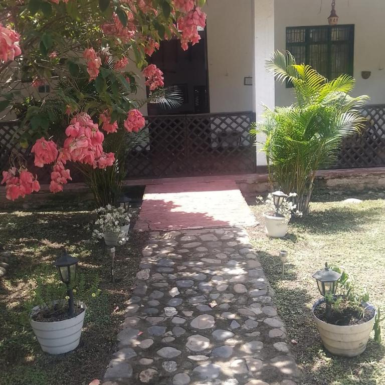 La Casa de la abuela - Casa con 1 dormitorio - 6
