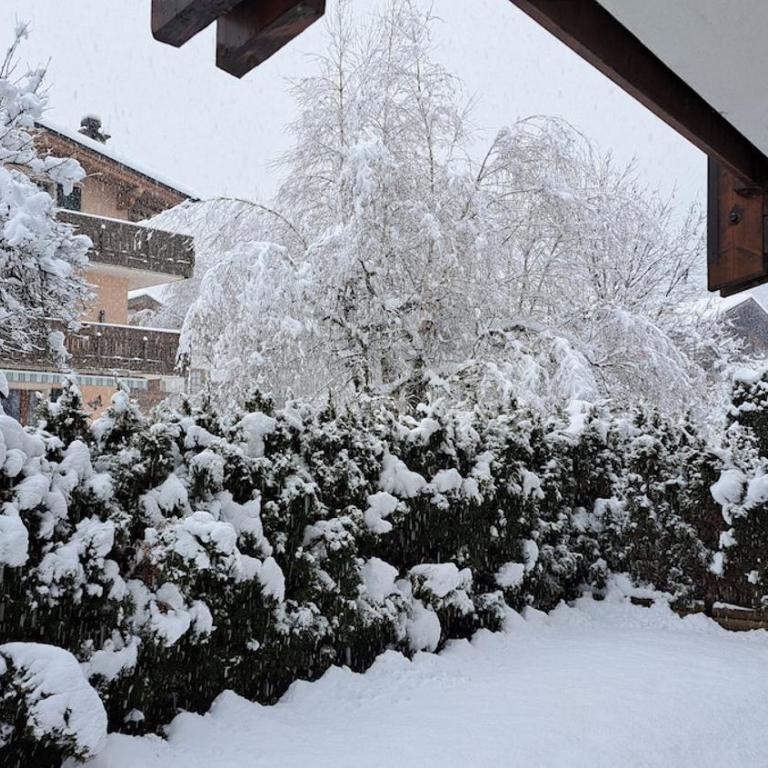 Rododendro Alpino Garden & Style in Pinzolo - Apartment with Garden View - 30