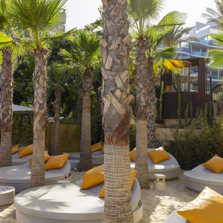 Exclusive Apartment with Garden in Higueron - Apartamento - 39