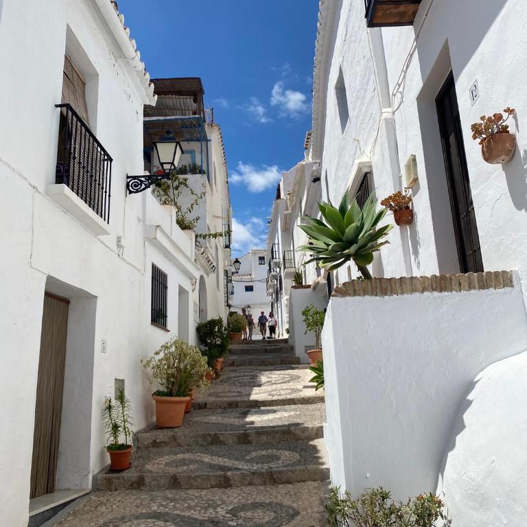 Casa Verde - Ground floor apartment next to the beach - Apartment - Ground Floor - 30