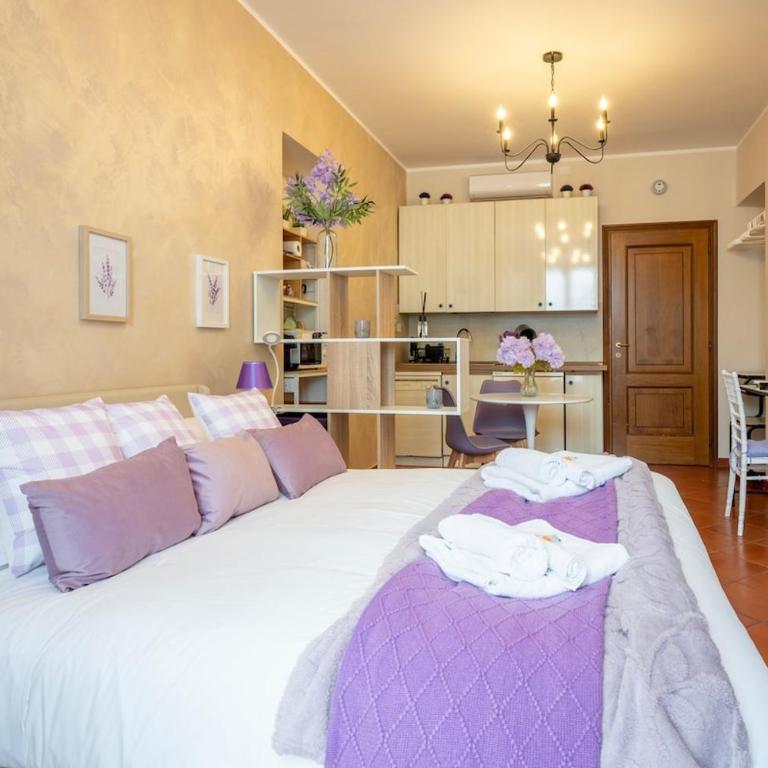 Da Rosi srl P Nuova Deluxe Studio balcone AC - Appartamento con 1 Camera da Letto - 20
