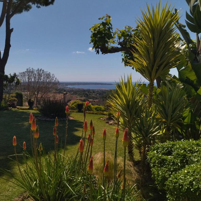 Le mas des iris Antibes vue mer - Villa - 3