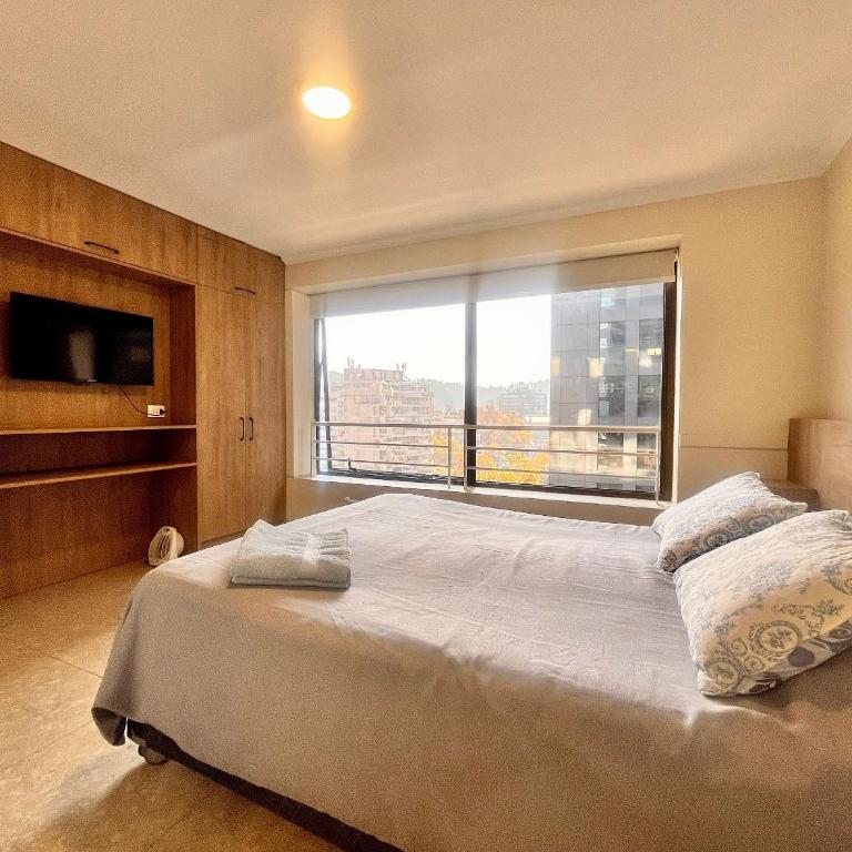 Living Valdivia - Estudio Triple Estándar - 18