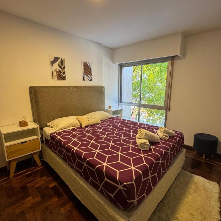 Olmos Suites Departamentos - Apartamento de 2 dormitorios - 3