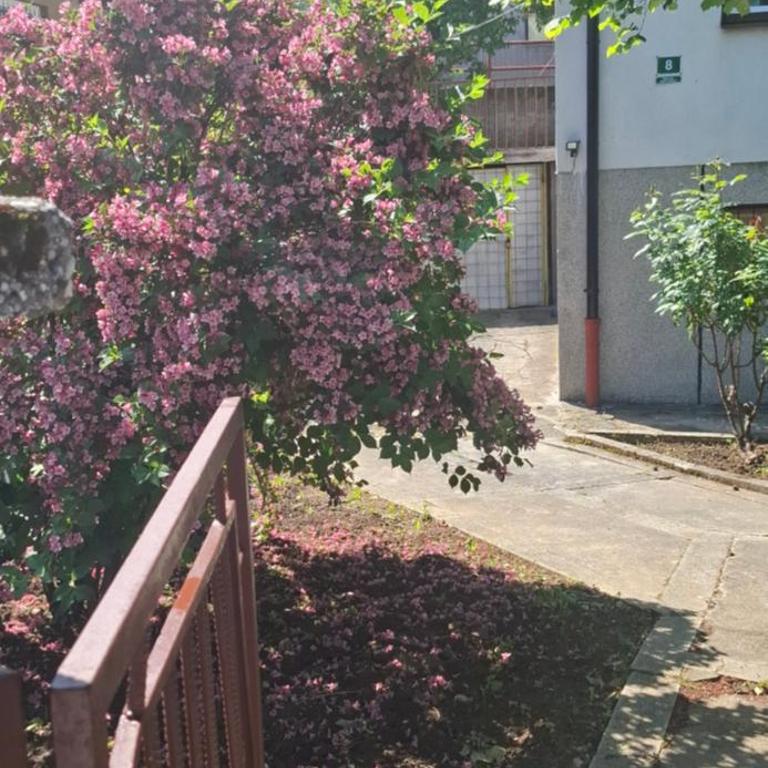 Zara1 - Apartman sa 1 Spavaćom Sobom - 6