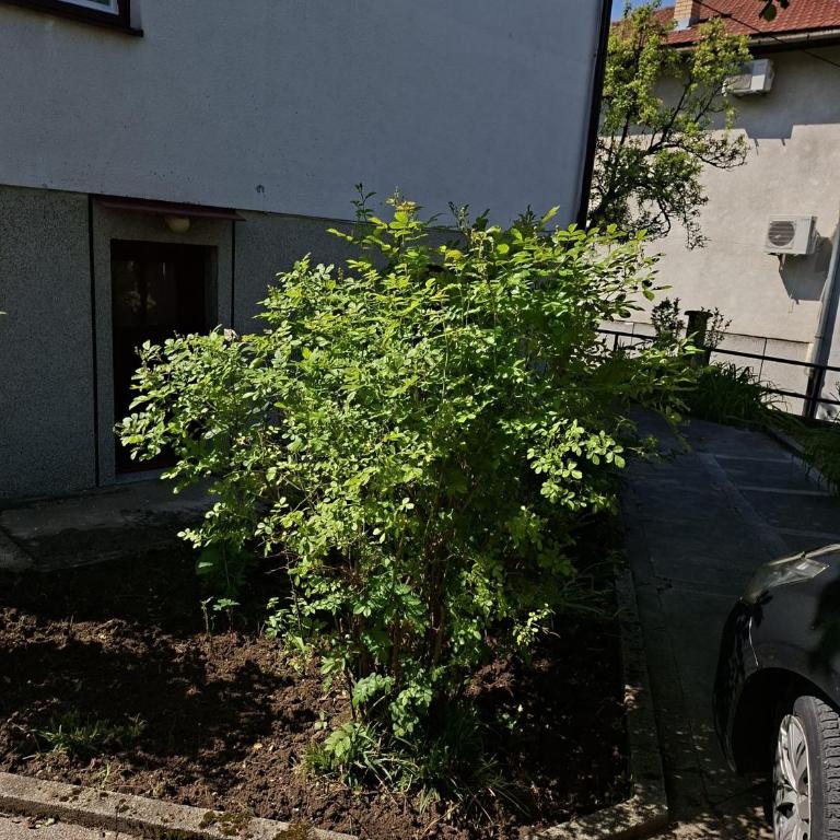 Zara1 - Apartman sa 1 Spavaćom Sobom - 10