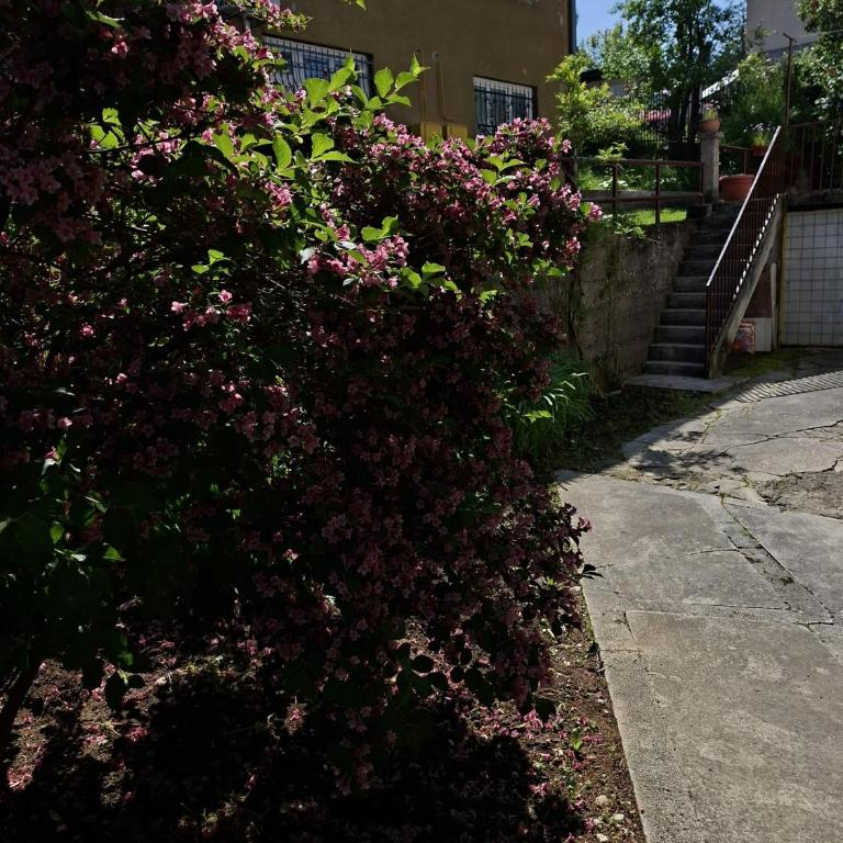 Zara1 - Apartman sa 1 Spavaćom Sobom - 24