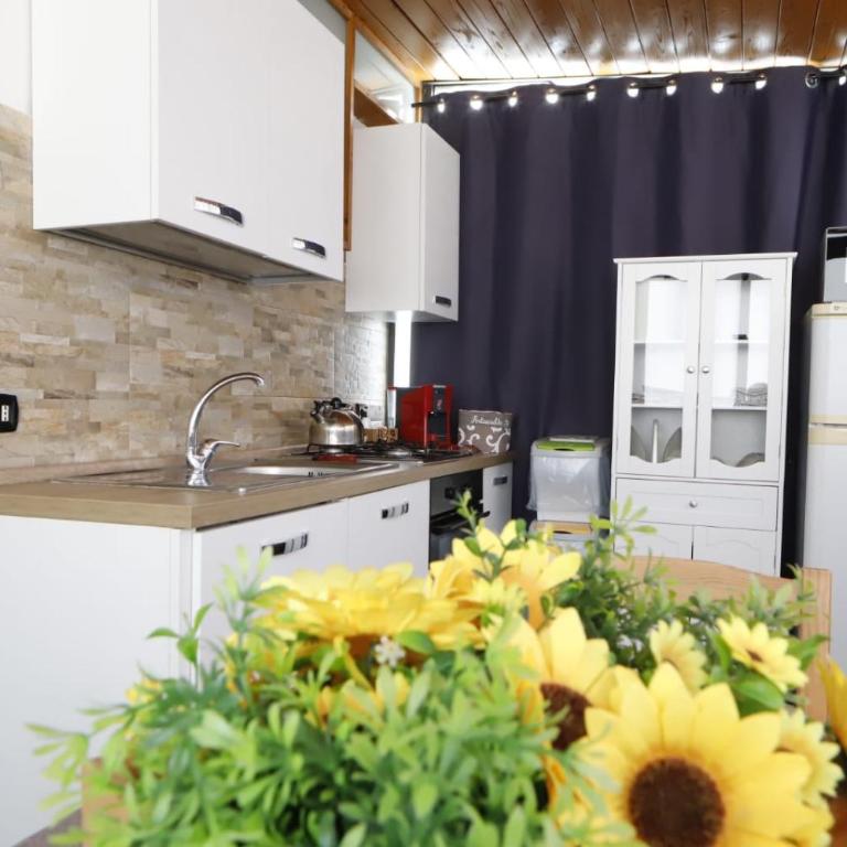 Mi Casa Es Tu Casa - Two-Bedroom Apartment - 22