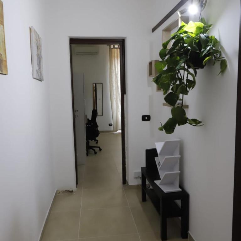 Mi Casa Es Tu Casa - Two-Bedroom Apartment - 33
