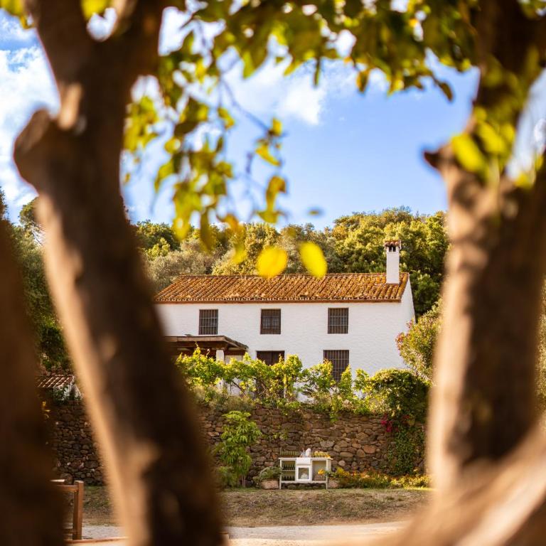 Finca Santa Teresa, Casa Grande - Casa de 4 dormitorios - 2