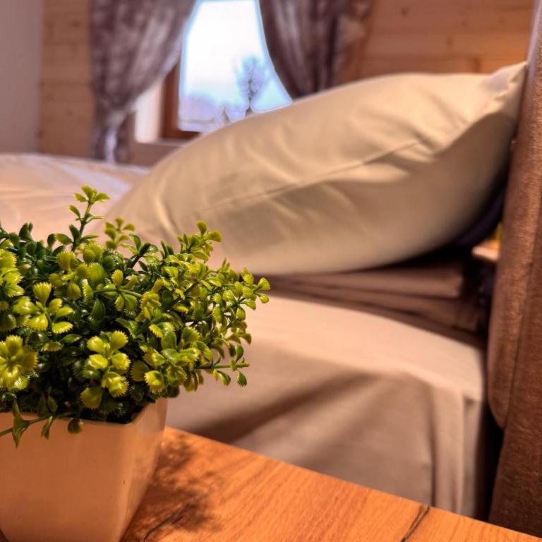 Aura Durmitor apartments - One-Bedroom Apartment - 11